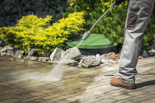 Best Roof Washing  in Abingdon, MD